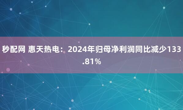 秒配網(wǎng) 惠天熱電：2024年歸母凈利潤(rùn)同比減少133.81%